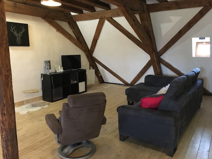 Appartement Haguenau Centre Ville 2 Pers - Haguenau