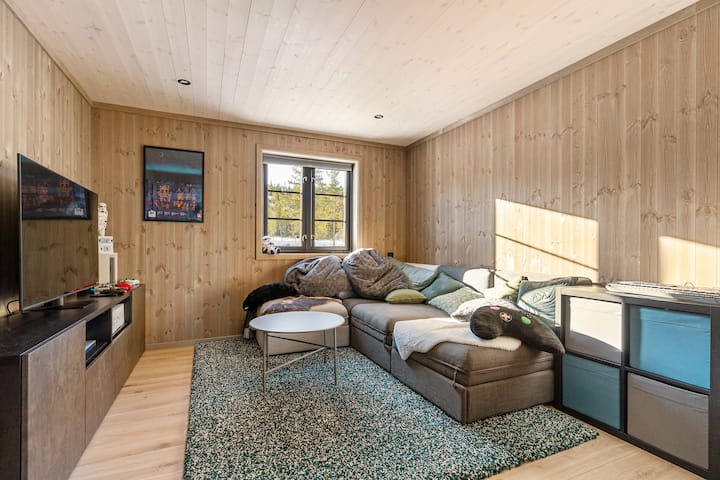 Obývačka/herňa/prístelky