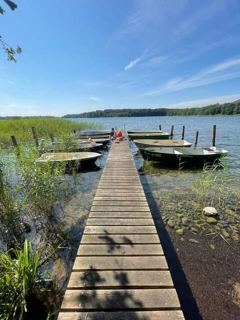 Holiday at Schaalsee in Dorfhaus Techin
