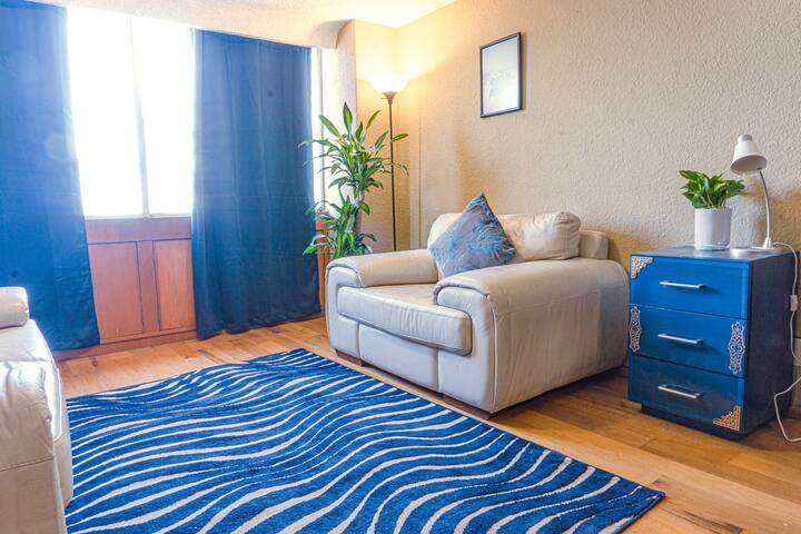 Light filled apt center of La Condesa/FiberOptics