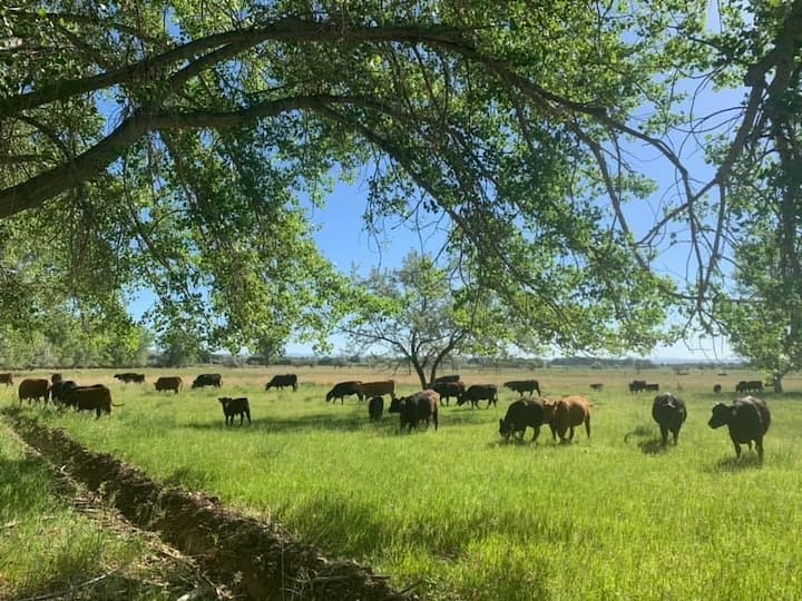 Top 10 Ranches To Stay In Wyoming, USA Updated 2024 Trip101