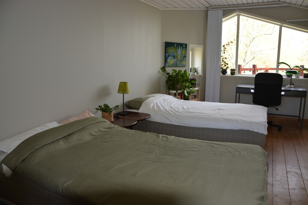 Спална соба 3, со два единечни кревета (120 см)