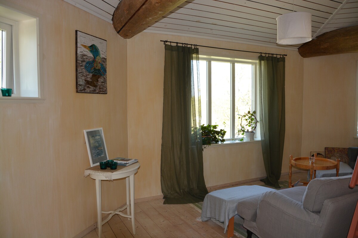 На горниот кат со кауч на спуштање и со скали до собата во кулата