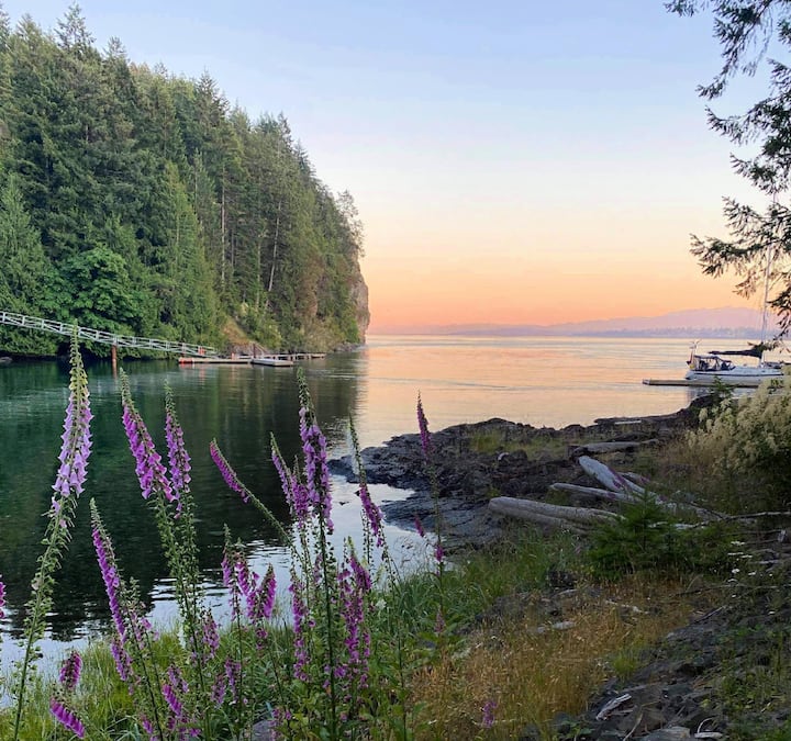 The Cove on Quadra beautiful oceanfront tiny home Tiny houses for Rent in Strathcona, British