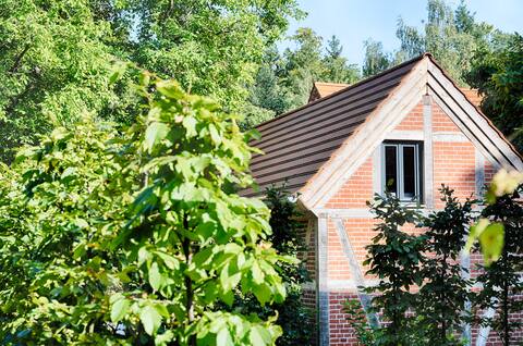 A refuge in the forest and on the Ruppiner Seen