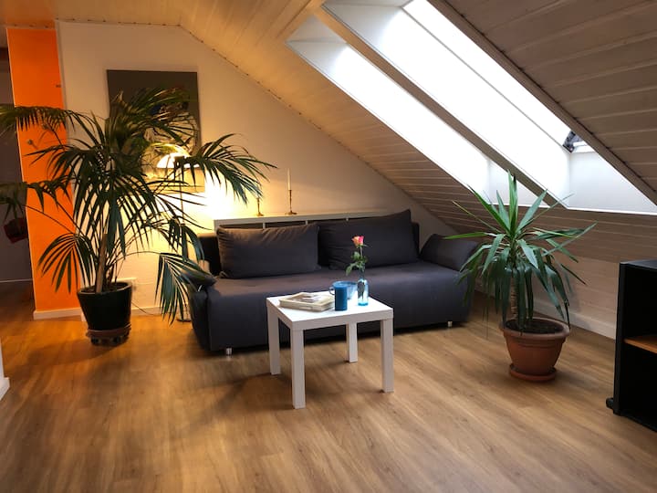 Geräumige Dachgeschosswohnung Mit Herkulesblick - Cassel, Allemagne