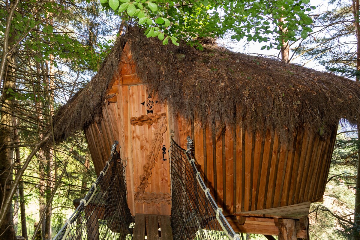 A wooden cabin with a thatched roof is set among trees, elevated above ground and accessed by a suspended pathway. Natural textures and earthy tones blend with the surrounding foliage, offering a secluded retreat within the forest.