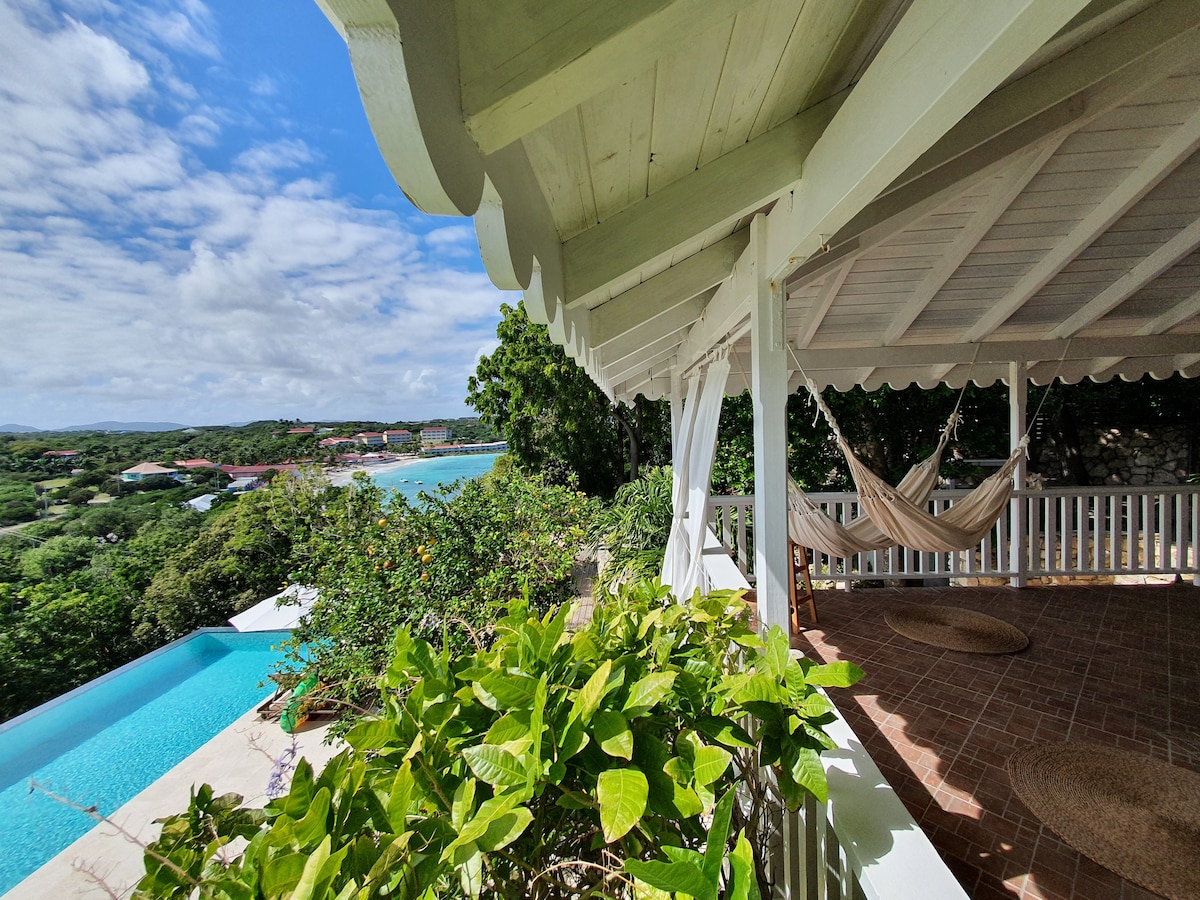 A view from a covered terrace displays a tranquil pool extending toward the horizon. Green foliage surrounds the area, and a hammock is suspended nearby, offering a relaxing spot. The sky is bright with scattered clouds, complementing the coastal scenery visible in the distance.