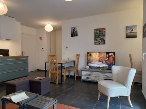 Annonce Airbnb populaire: Recent apartment 30 m by Lake Geneva near Evian à Publier