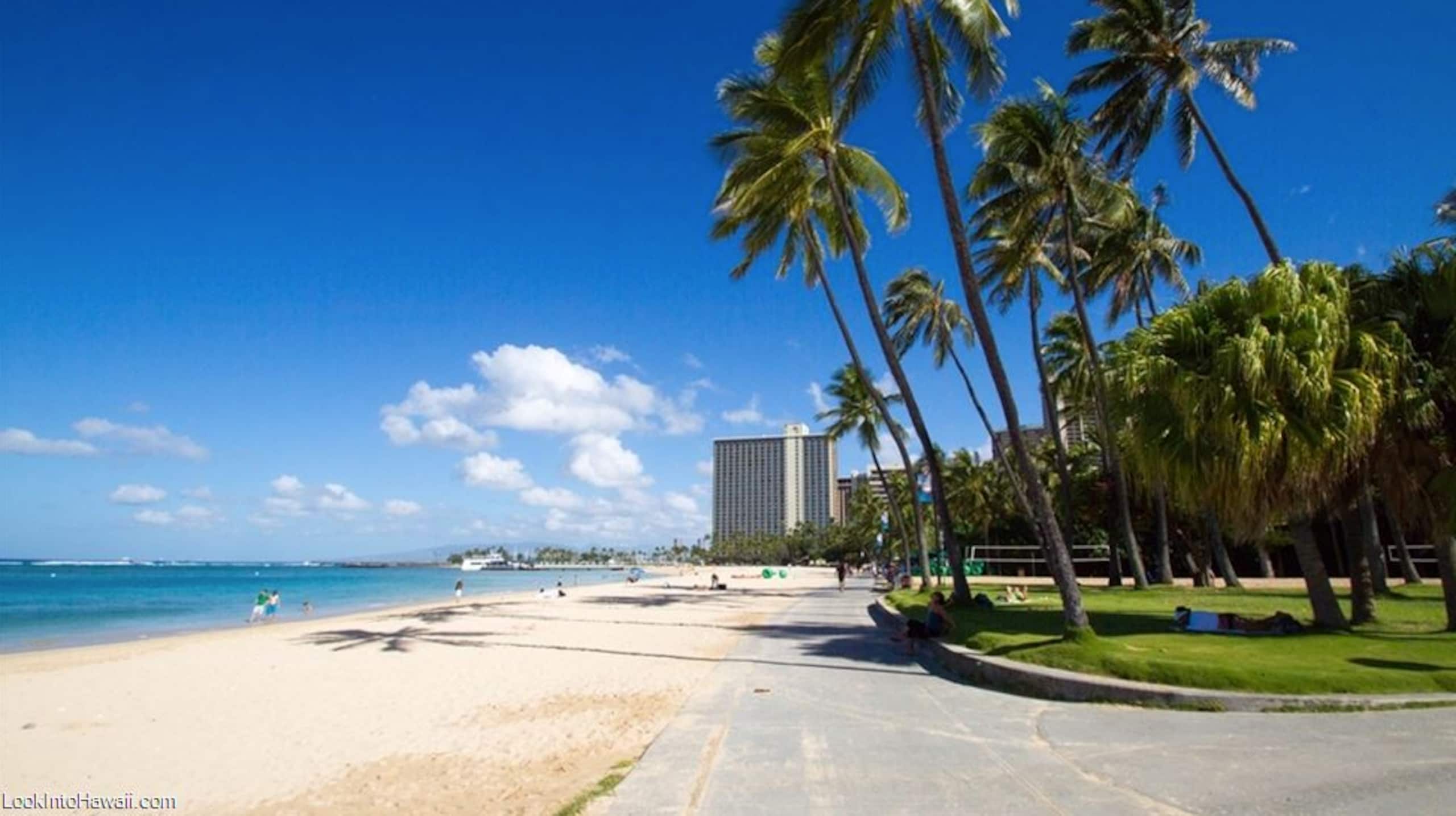 Condo in Honolulu · ★4.89 · Studio · 2 beds · 1 private bath - Image 72