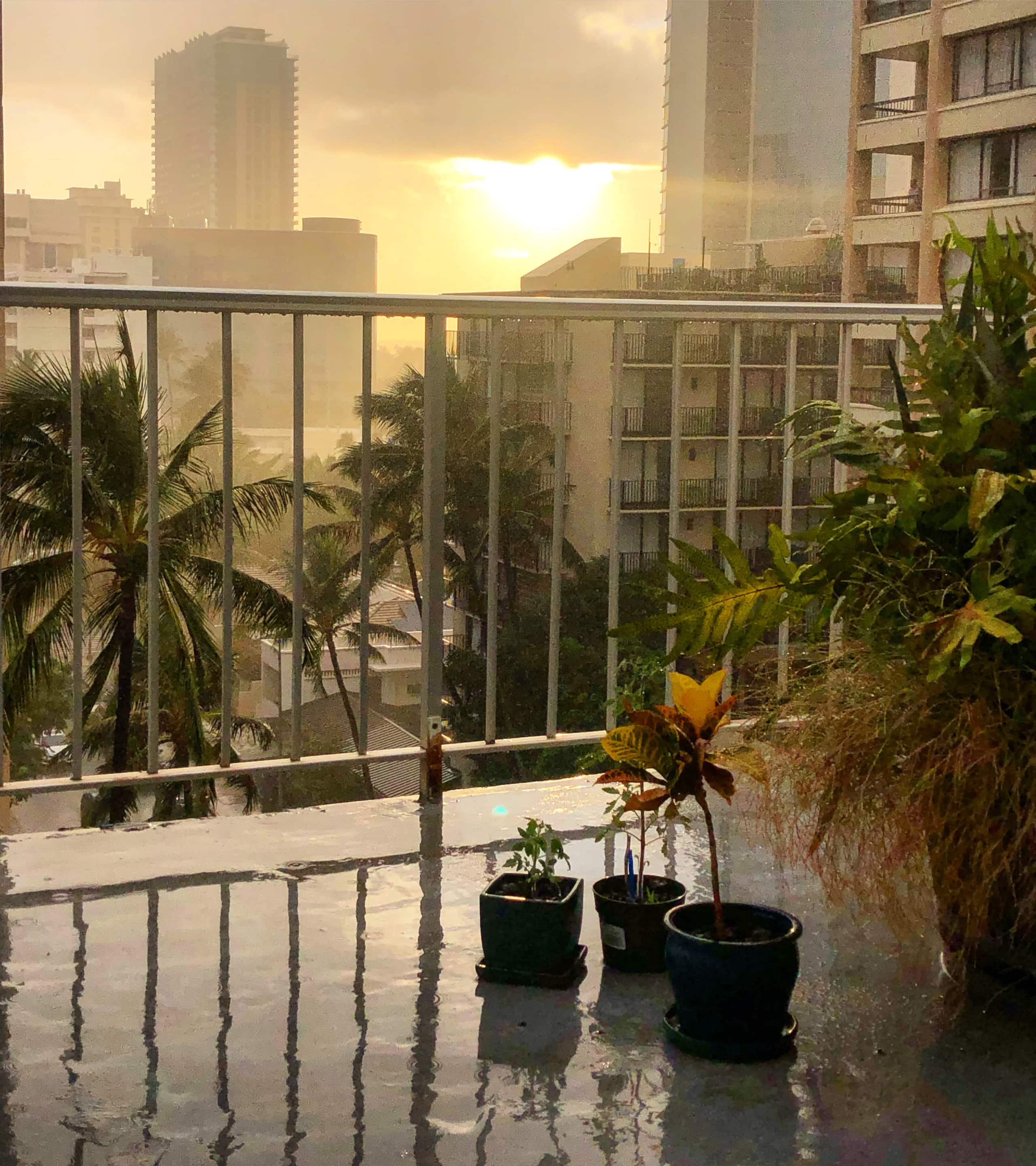 Condo in Honolulu · ★4.89 · Studio · 2 beds · 1 private bath - Image 42