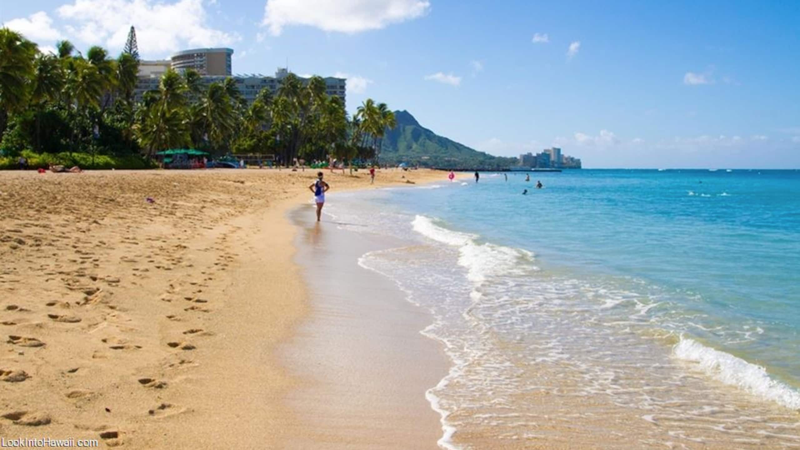 Condo in Honolulu · ★4.89 · Studio · 2 beds · 1 private bath - Image 73