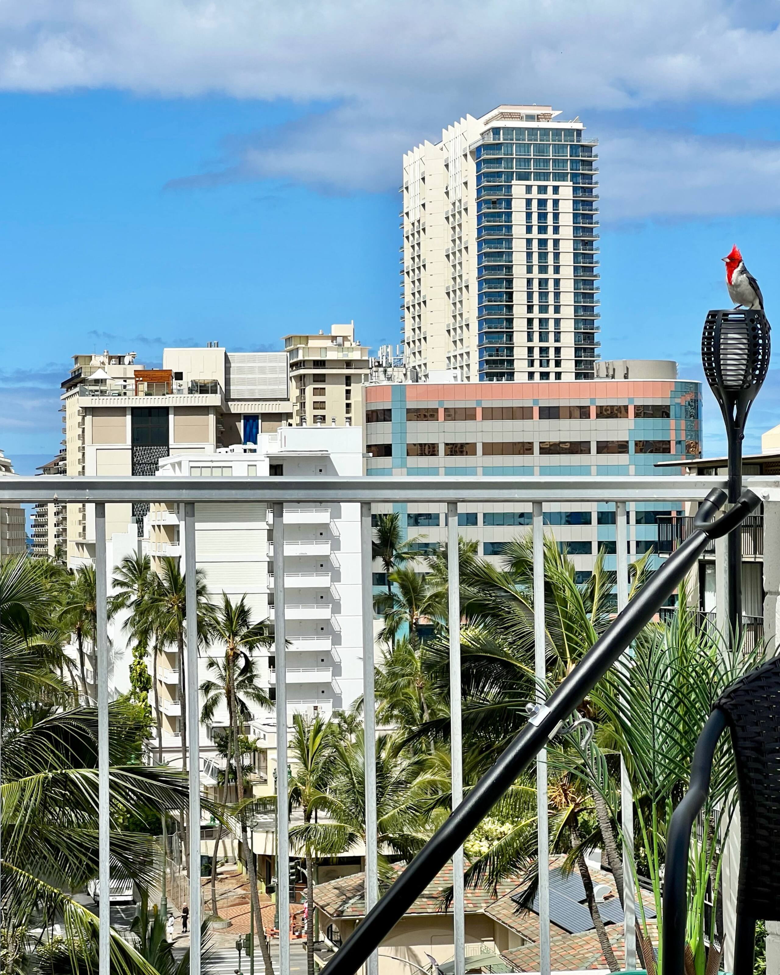 Condo in Honolulu · ★4.89 · Studio · 2 beds · 1 private bath - Image 53