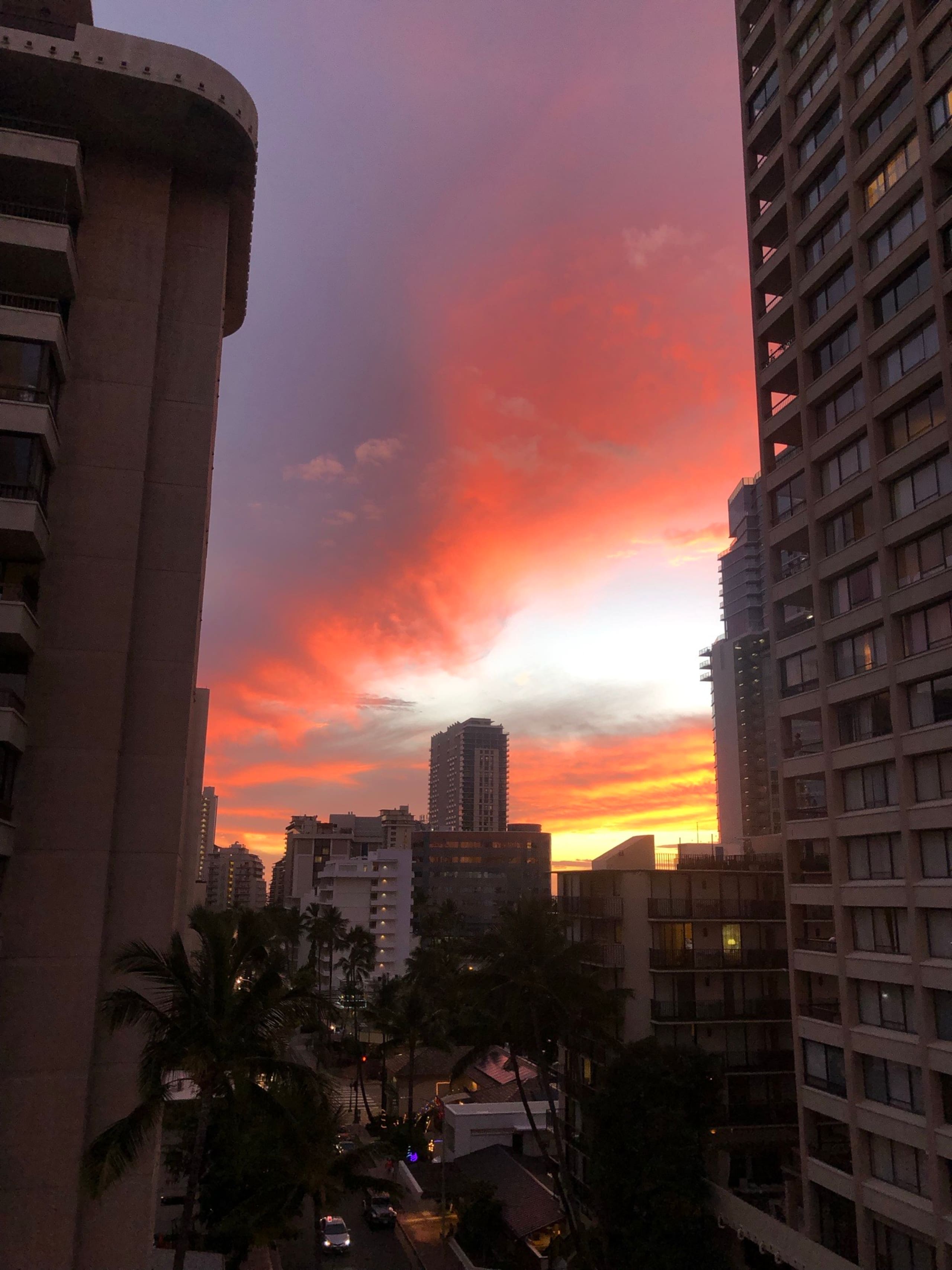 Condo in Honolulu · ★4.89 · Studio · 2 beds · 1 private bath - Image 77