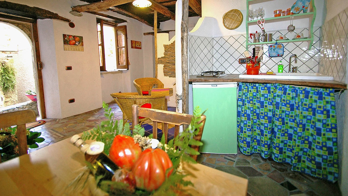 A charming kitchenette is equipped with essential appliances and colorful dishware. Natural light enters through windows, highlighting the rustic wooden beams above. A dining table is set with a basket of local produce, adding warmth to the inviting space.