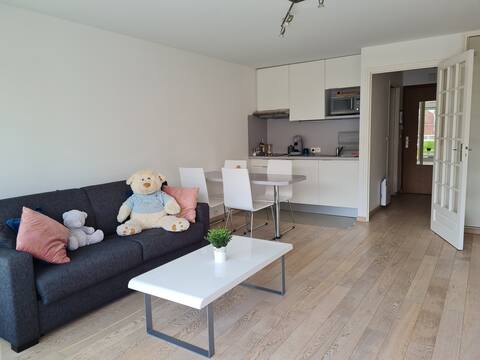 Successful Airbnb property: Le Touquet Paris-Plage Shiny appartment in Le Touquet Paris Plage
