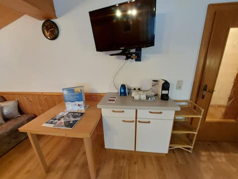 Top performing Airbnb: Apart Ladner Kappl 2-6 persons 80m2 in Kappl