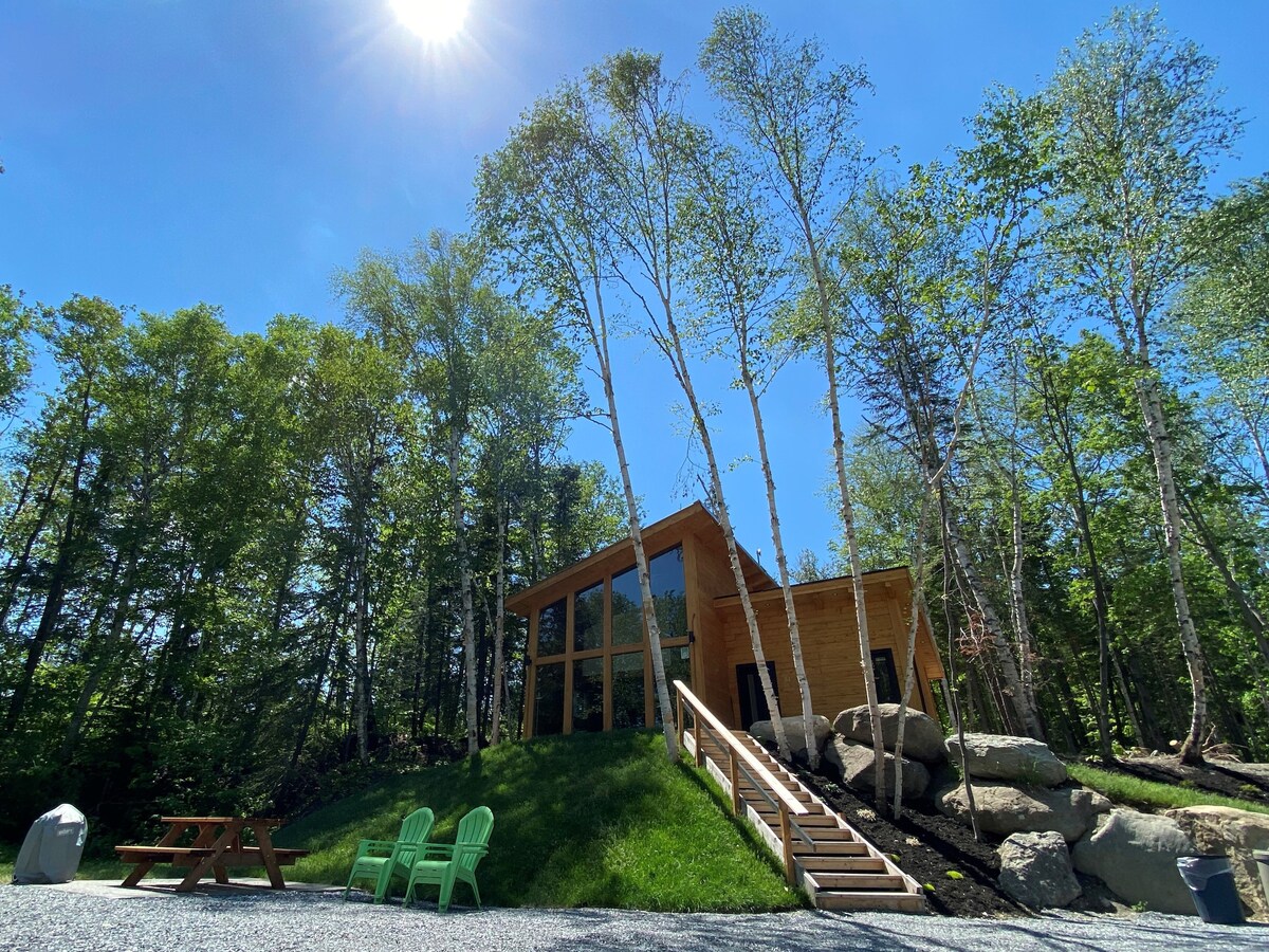 A large wooden chalet is nestled among tall trees, with sunlight filtering through the branches. A gently sloping path leads to the entrance, flanked by natural stone and green grass. Two bright green chairs are positioned on the side, creating a relaxing outdoor space.