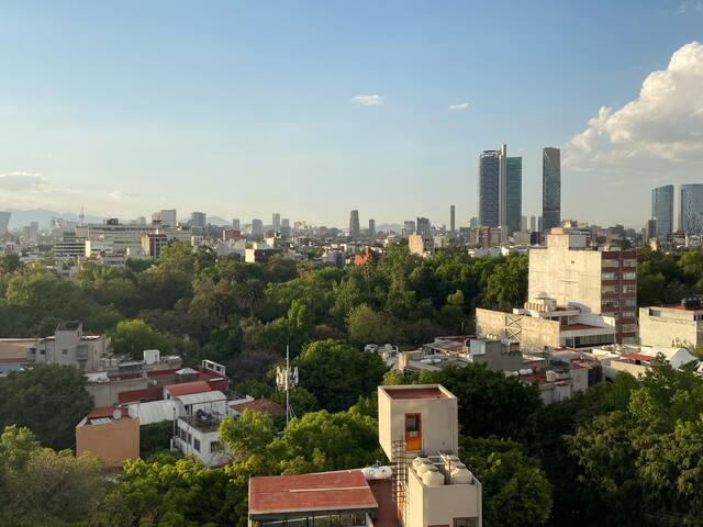 Apartment Condesa CDMX Mexico City gallery image 2