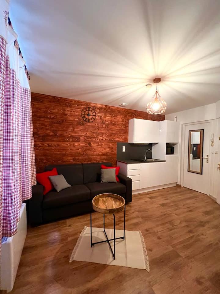 Strasbourg Centre Appartement Typique Alsacien - Lingolsheim