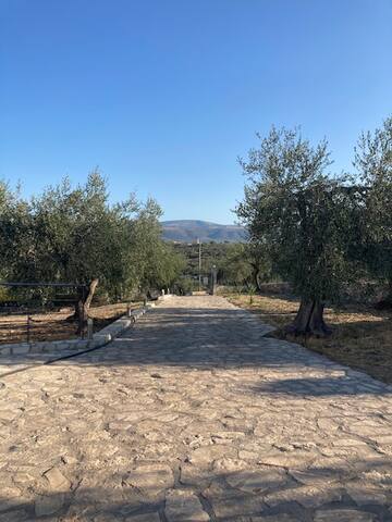 Mansion Between the sea and the hills of Puglia gallery image 2