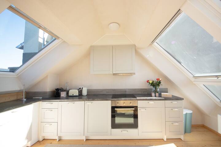 Penthouse with fantastic view – Schloss Schönbrunn gallery image 4