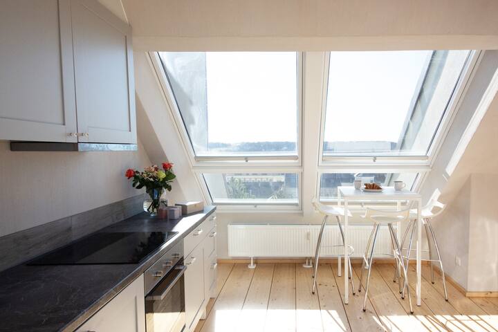 Penthouse with fantastic view – Schloss Schönbrunn gallery image 5