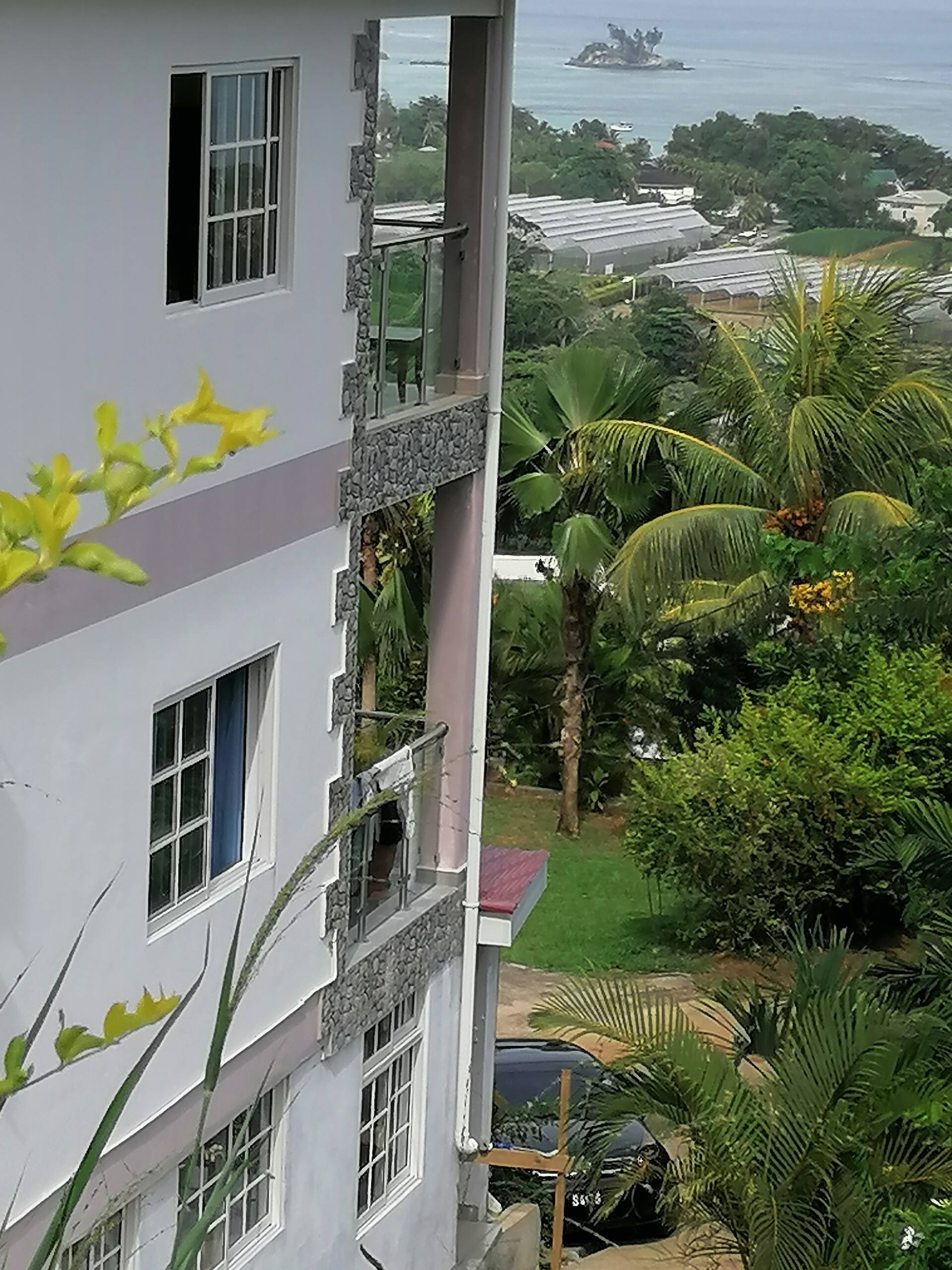 Creole Cottage Apartment — foto 4