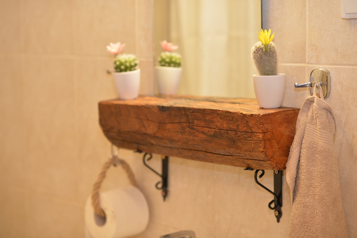 A wooden shelf supported by black brackets is mounted against a light wall, featuring small potted cacti with flowers. A towel hung on a silver towel ring and a toilet paper holder is visible below, enhancing the functional and decorative elements of the bathroom.