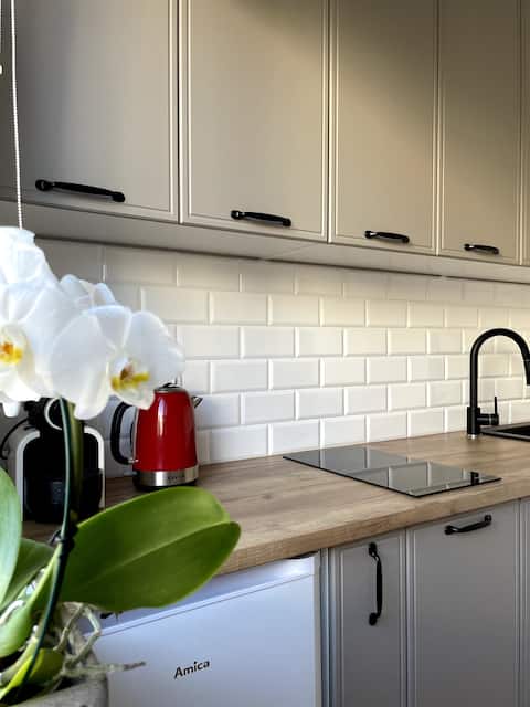 Apartment ,,Dwudziestka''