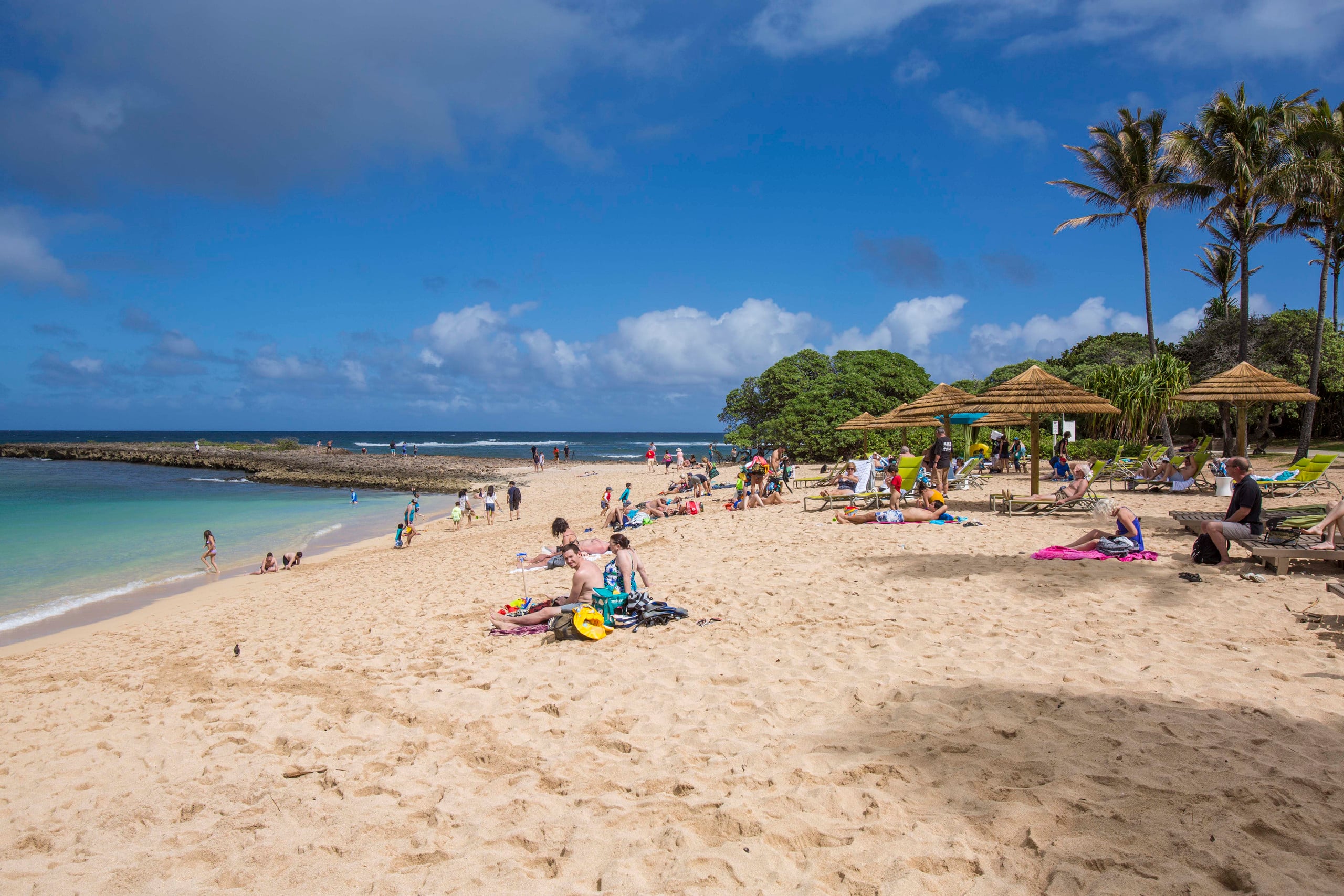Condo in Kahuku · ★4.89 · 1 bedroom · 2 beds · 2 private baths - Image 19