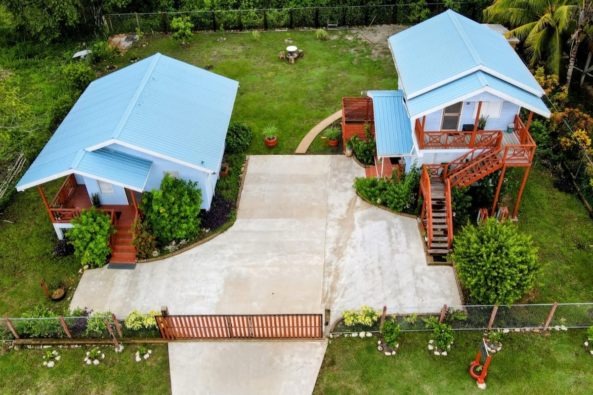 An aerial view reveals two charming buildings with light blue roofs, set within a spacious grassy area. A winding path connects the structures, flanked by neatly arranged plants and outdoor seating. A wooden fence encircles the property, enhancing its inviting atmosphere.