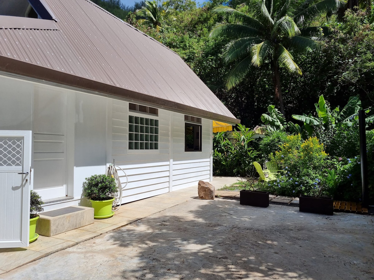 The exterior of the lodging features a light-colored facade complemented by a sloped metal roof. Tropical greenery surrounds the space, with plants arranged in planters. A patio area provides access to the entrance, and a small garden bed adds vibrancy to the outdoor environment.