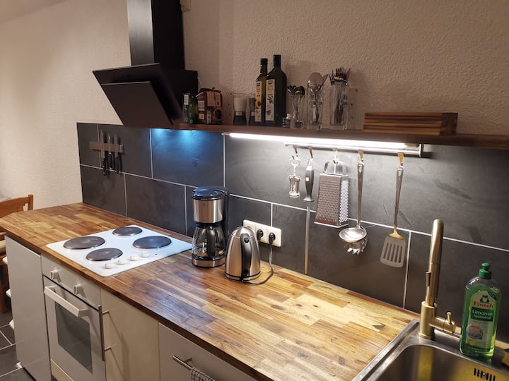 Gemütliche Wohnung Dresdner Stadtvilla In Elbnähe - Dresden