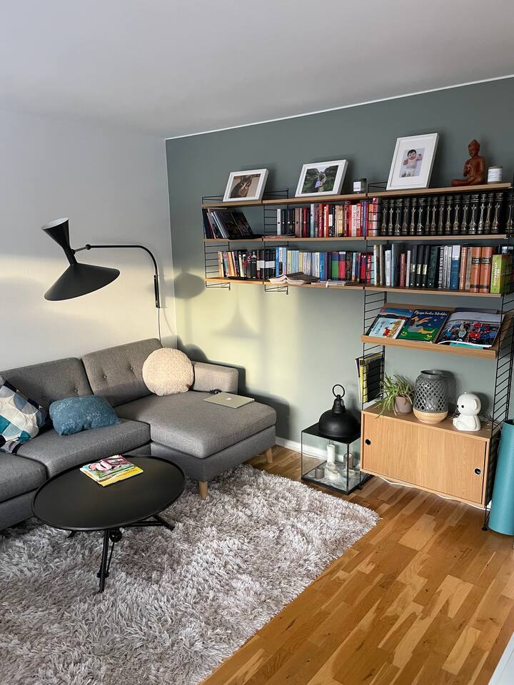 Bright and cosy condo in the heart of Reykjavik Condominiums for Rent
