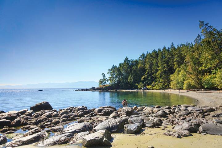 A serene beach scene features smooth, large rocks lining the shore, where gentle waves lap against them. A few visitors can be seen enjoying the tranquil water, surrounded by lush greenery and tall trees, under a clear blue sky.