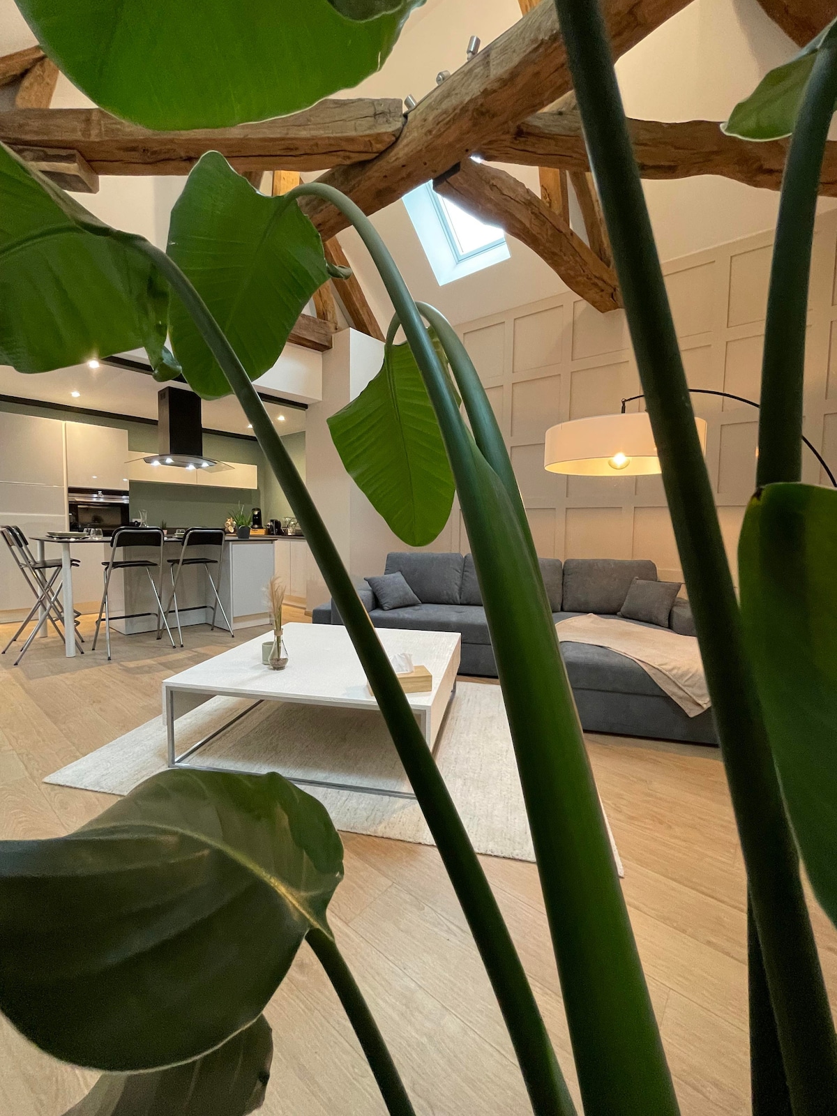 The image presents a modern living space with exposed wooden beams and large windows, allowing natural light to fill the room. A soft gray sofa and a minimalist coffee table are visible, while tall green plants add a touch of nature, enhancing the relaxed atmosphere.