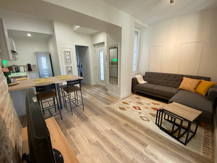 Superbe Appartement Avec Patio. - ディジョン