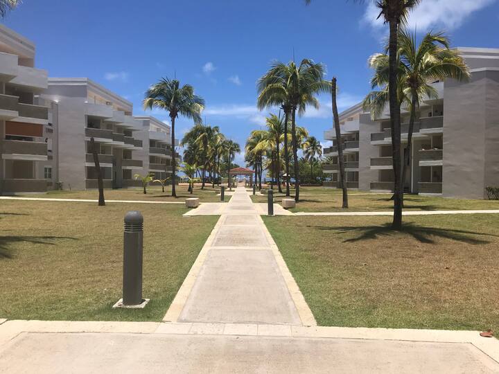 Zarzal Vacation Rentals Homes Puerto Rico Airbnb