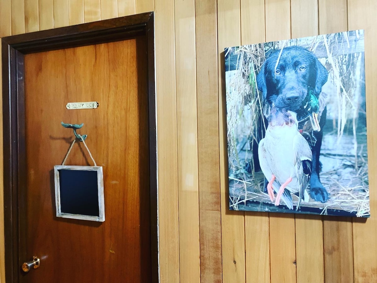 Brvnara br. 3 Salty Dog