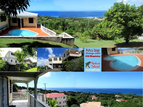 Pete's Casa, luxury villa with pool