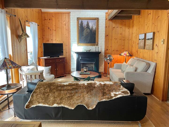 Cozy & Remote MoHo in Wolf Laurel Cabins for Rent in Mars Hill, North