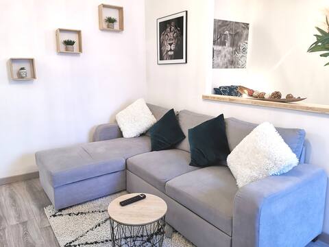 Beautiful city center apartment close to the slopes