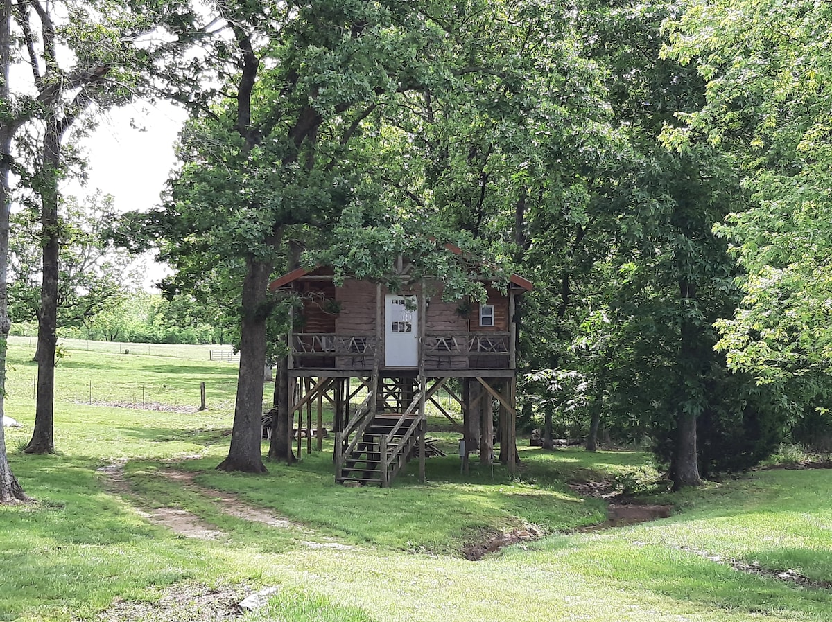 Rustic Elegance Treehouse Cabin Stockton Lake, MO Treehouses for Rent
