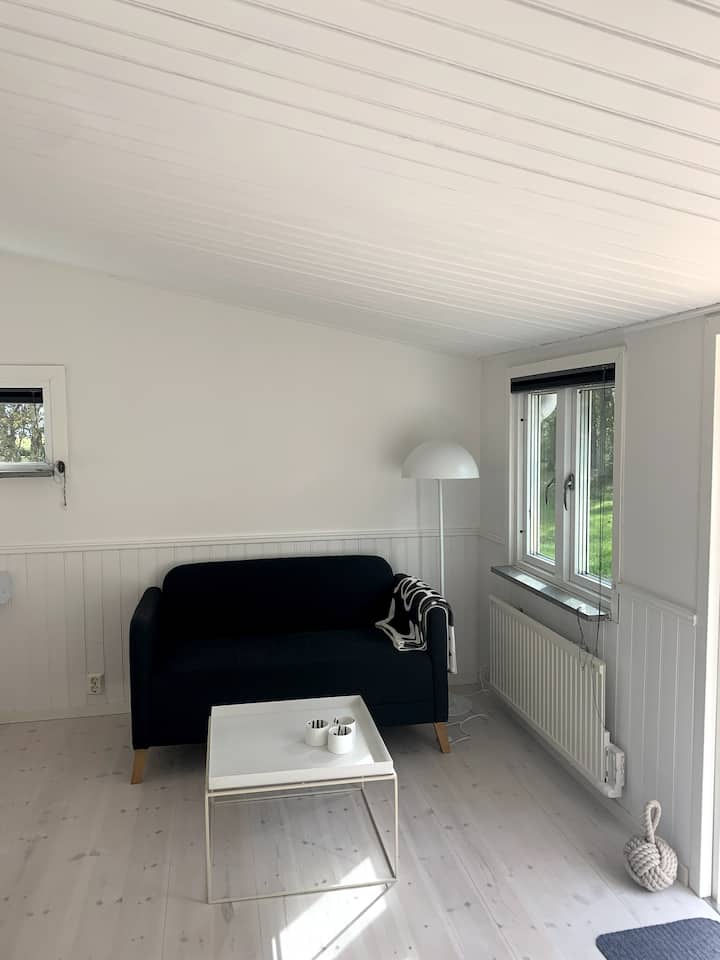 Всекидневна зона