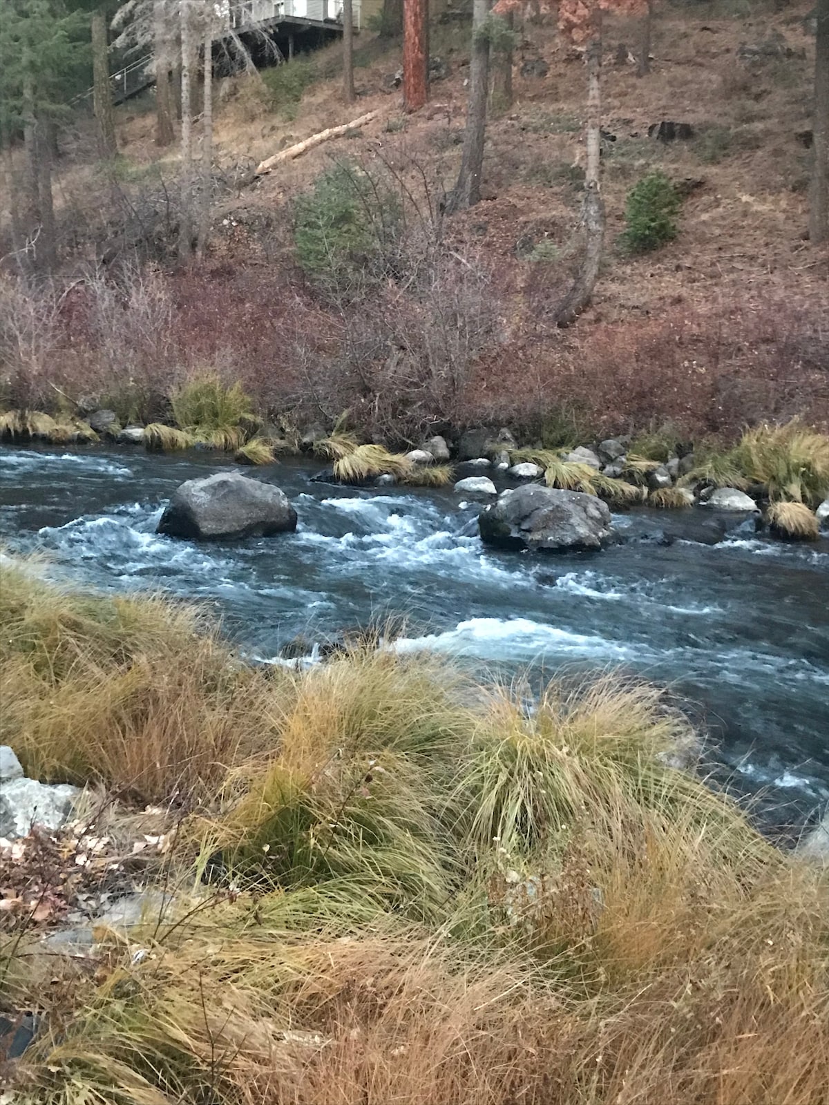 A gently flowing river is seen winding through a natural landscape, with rocks partially submerged in the water. Tall grasses and shrubbery frame the riverbank, while trees rise in the background, creating a serene environment.