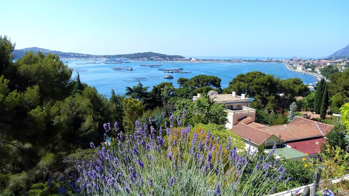 Piscine, Tb Vue Mer, Terrasse, Clim, Garage - Toulon