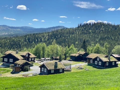 Successful Airbnb property: Cosy little cabin in Nesbyen