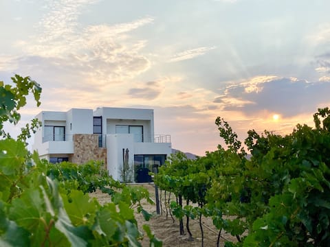 Casa Monte Cervino, vineyard front awakening.