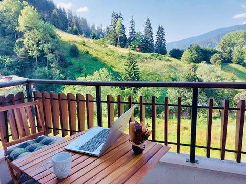 Sunny mountain apartment with free parking